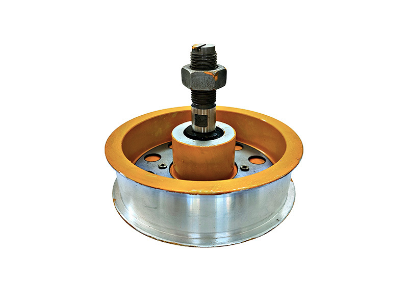 BD guide wheel bearing complete