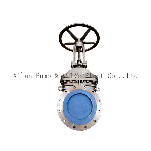 Titanium gate valve