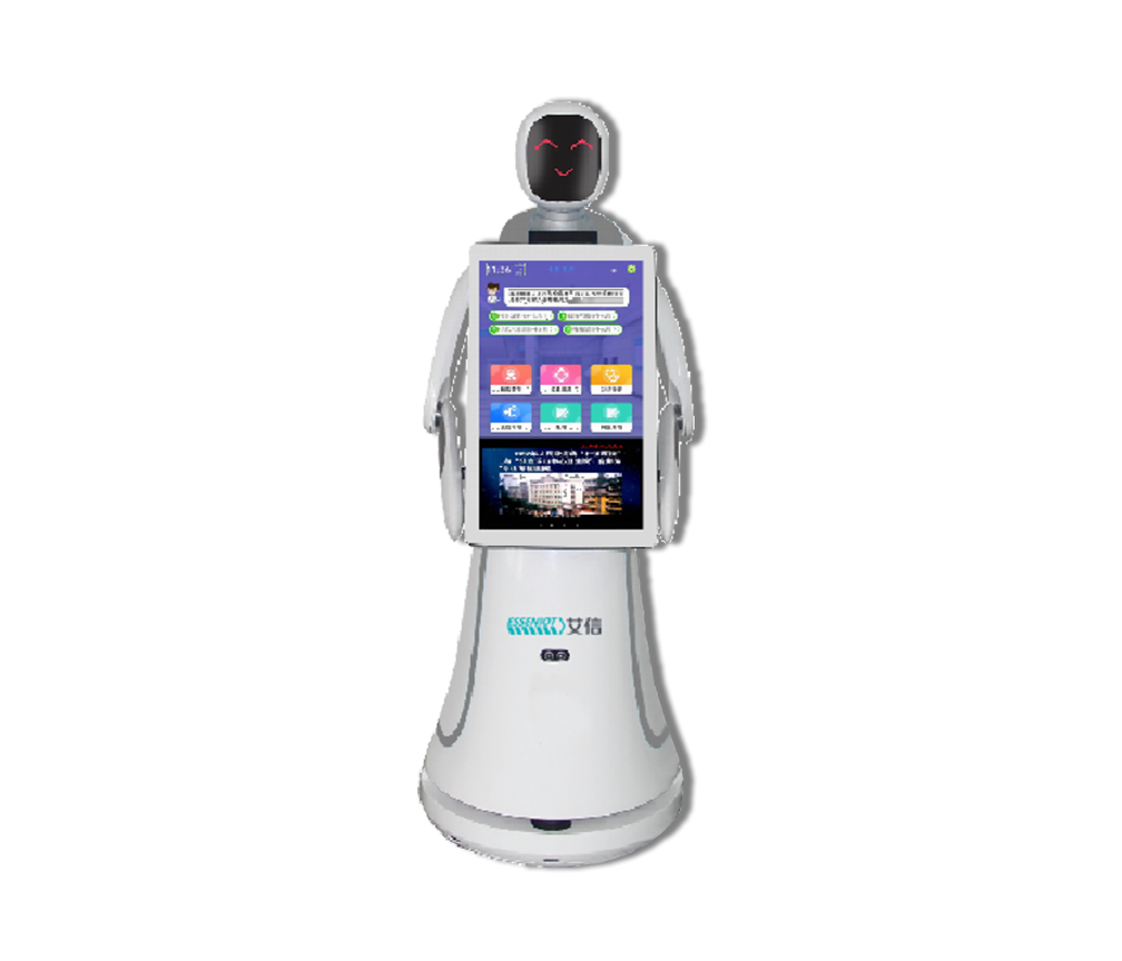 Medical Guidance Robot