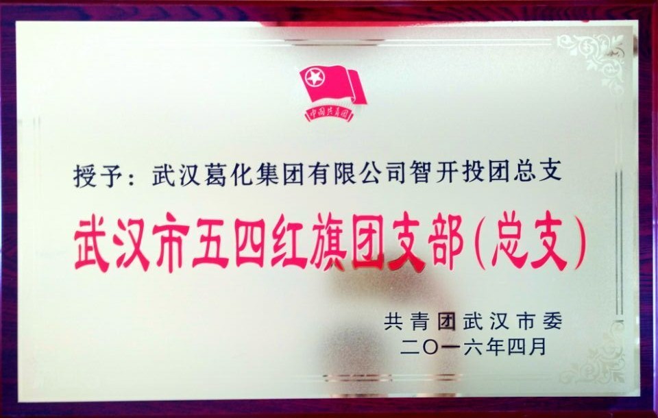 智開(kāi)投被授予武漢市五四紅旗團(tuán)支部（總支）