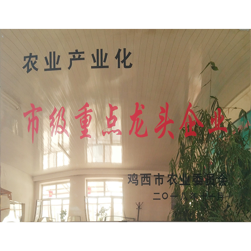 市級重點(diǎn)龍頭企業(yè)