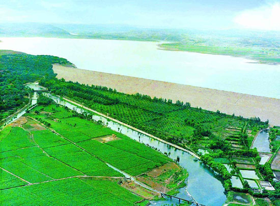 范縣黃河大堤