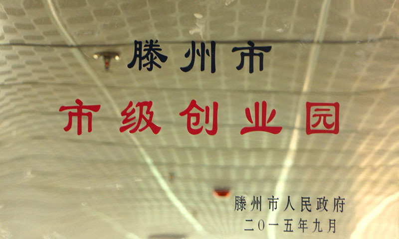 市級創(chuàng  )業(yè)園