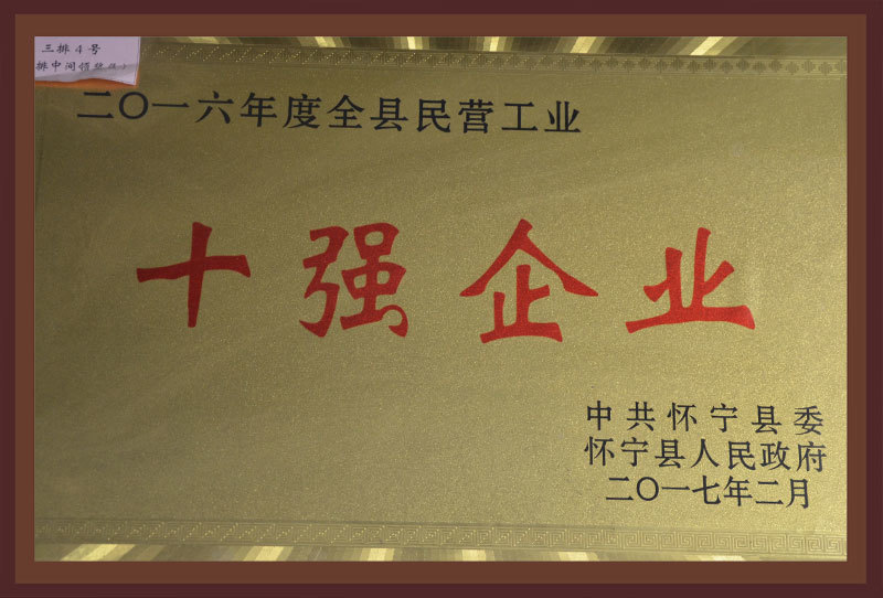 2016年度十強企業