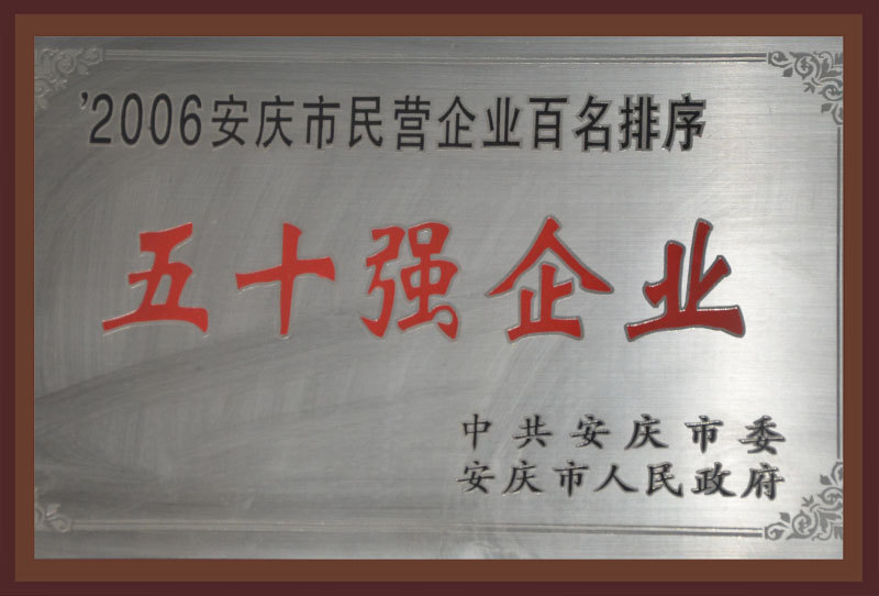 2006安慶市民營企業百名排序五十強企業