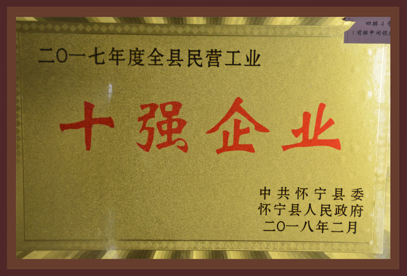 2017年度十強企業