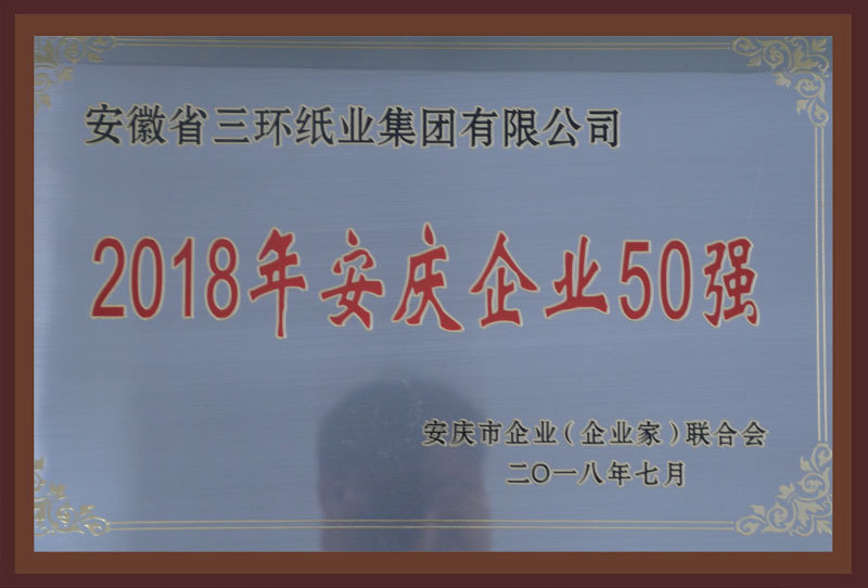 2018年安慶企業20強