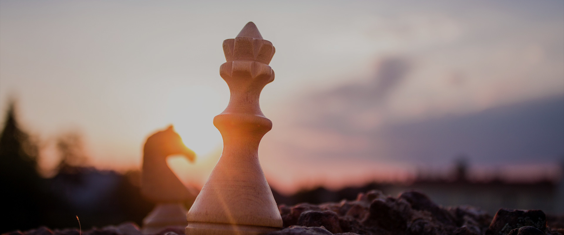 Strategic Pillars
