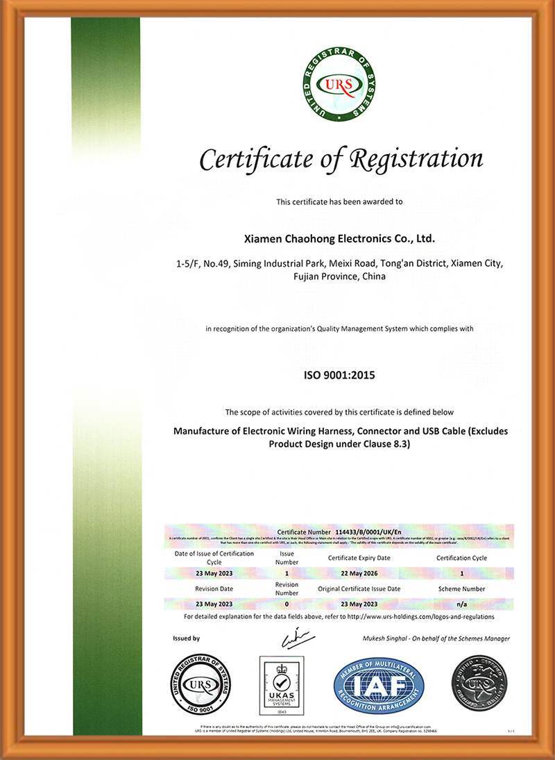 ISO 9001 en