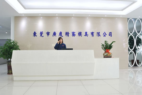 東莞市廣度精密模具有限公司