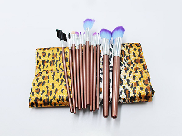 What are the makeup brushes and the purpose of the makeup brush set