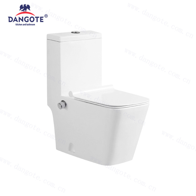 DR-1037 with Bidet