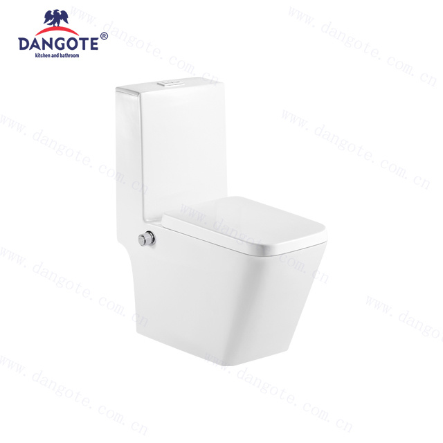 DR-1102 with Bidet