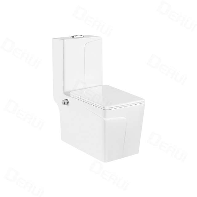 DR-1109 Bidet