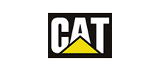 cat cat