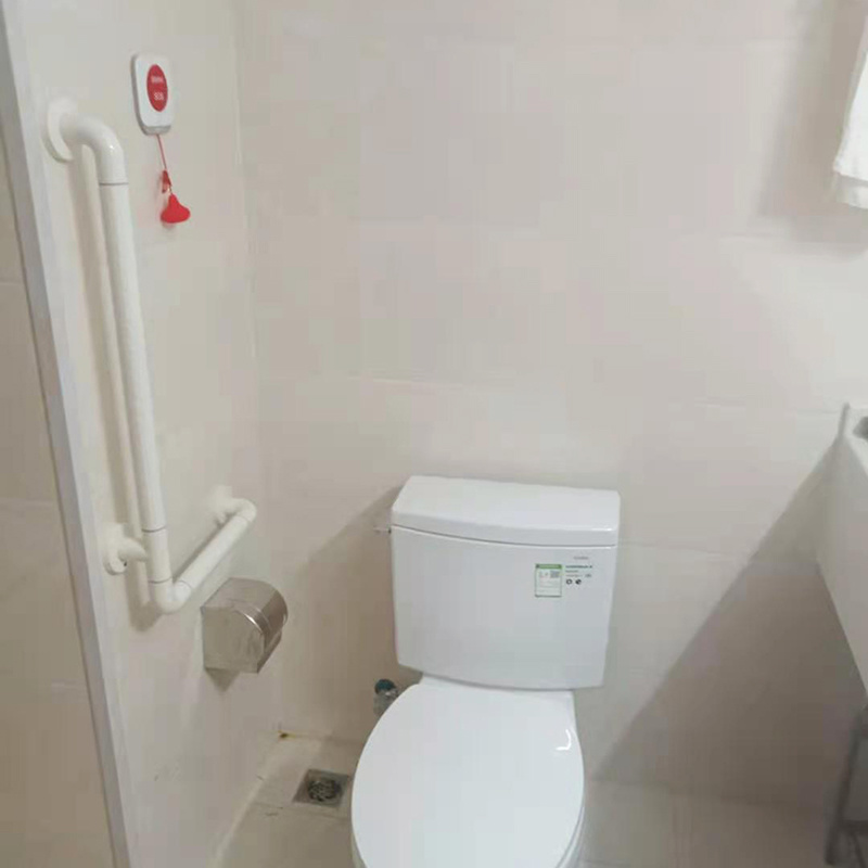 L-shaped toilet grab bar
