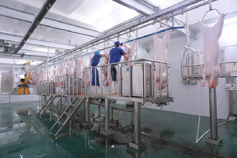 Slaughter production line