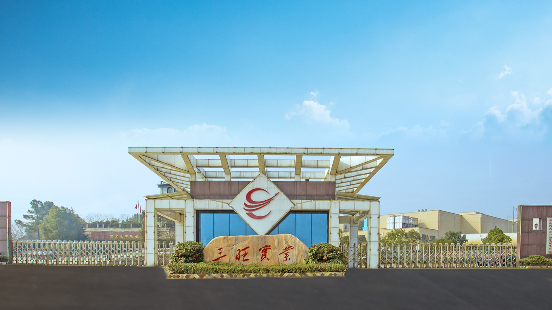 Professional Building of Chinese Meat Health Brands