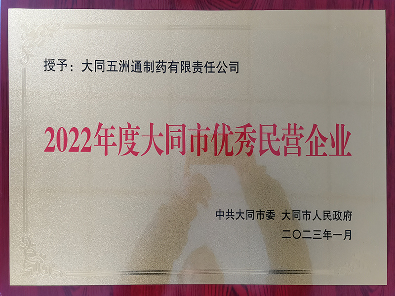 2022年度大同市優(yōu)秀民營(yíng)企業(yè)