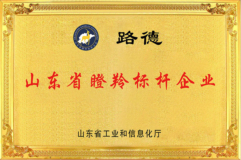 山東省瞪羚標(biāo)桿企業(yè)