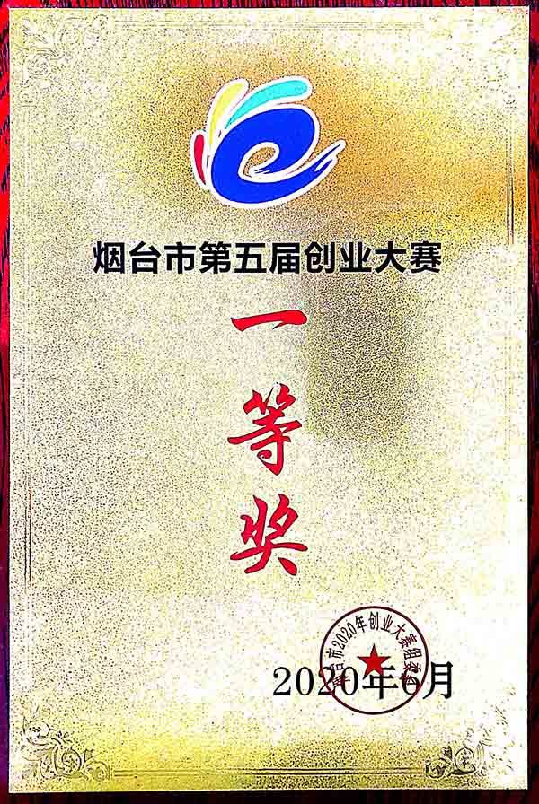 煙臺市第五屆創(chuàng  )業(yè)大賽一等獎