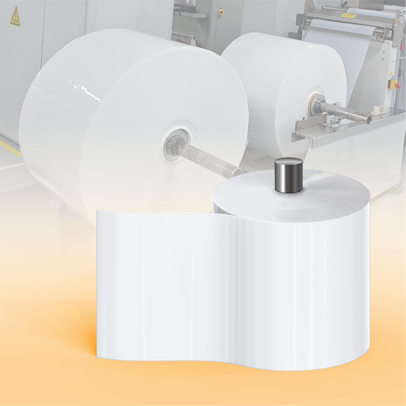 Exploring the Benefits of Multi Layer EVOH Sheet Rolls in Food Preservation