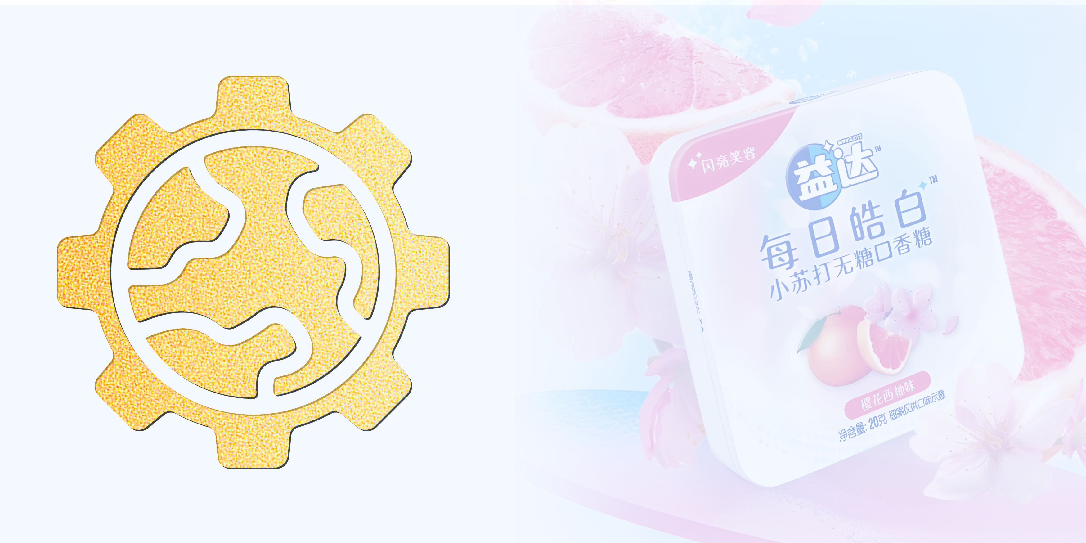 可持续发展 可持续发展