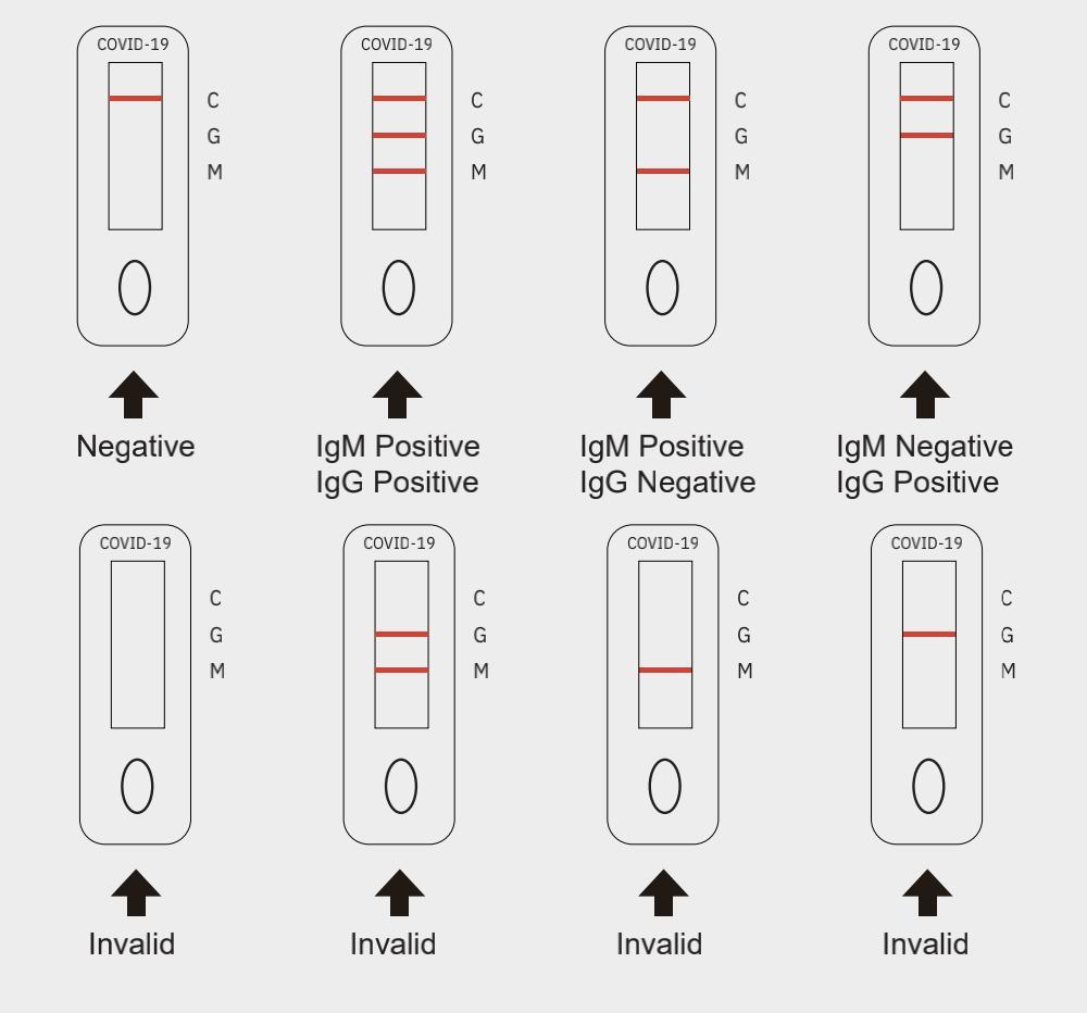 COVID-19 IgM/IgG Antibody Rapid Detection Kit(Colloidal gold method)