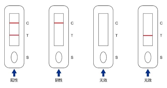犬流感病毒抗原快速检测试剂盒(胶体金法)
