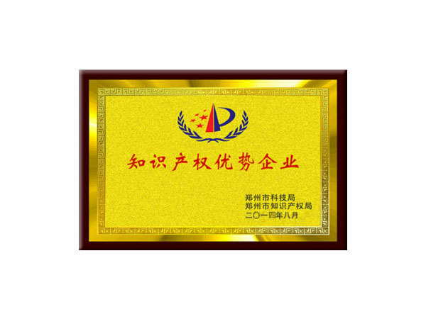 知識產(chǎn)權(quán)優(yōu)勢企業(yè)