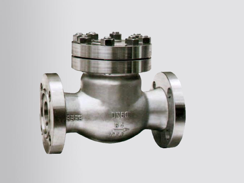 ANSI Swing Type Check Valve