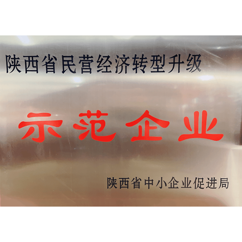 陜西省民營經(jīng)濟(jì)轉(zhuǎn)型升級示范企業(yè)