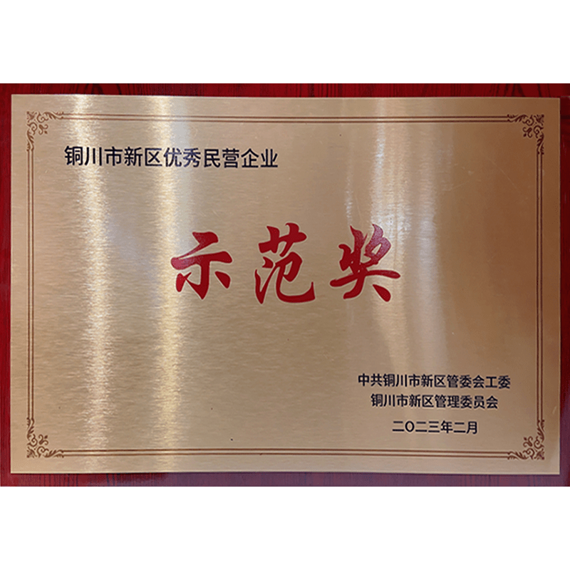 優(yōu)秀民營企業(yè)示范獎