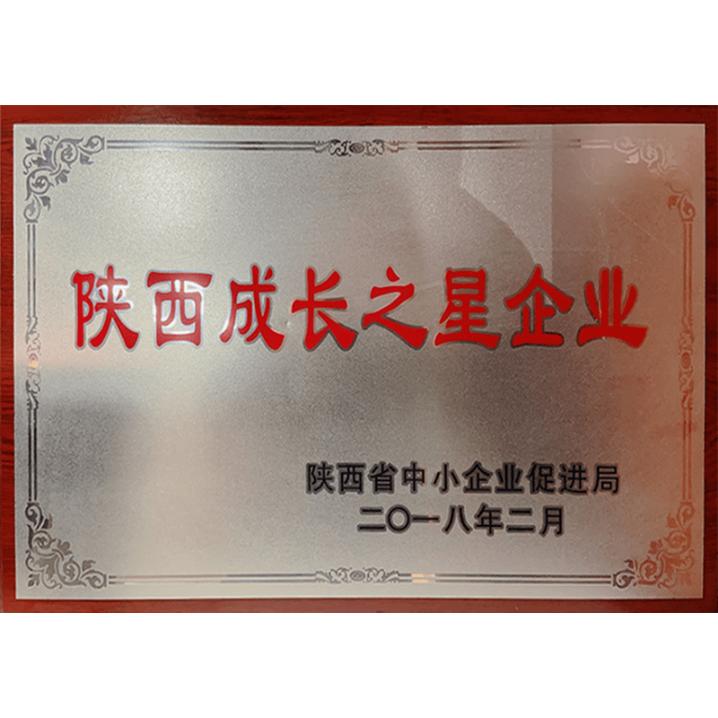 陜西省成長之星企業(yè)