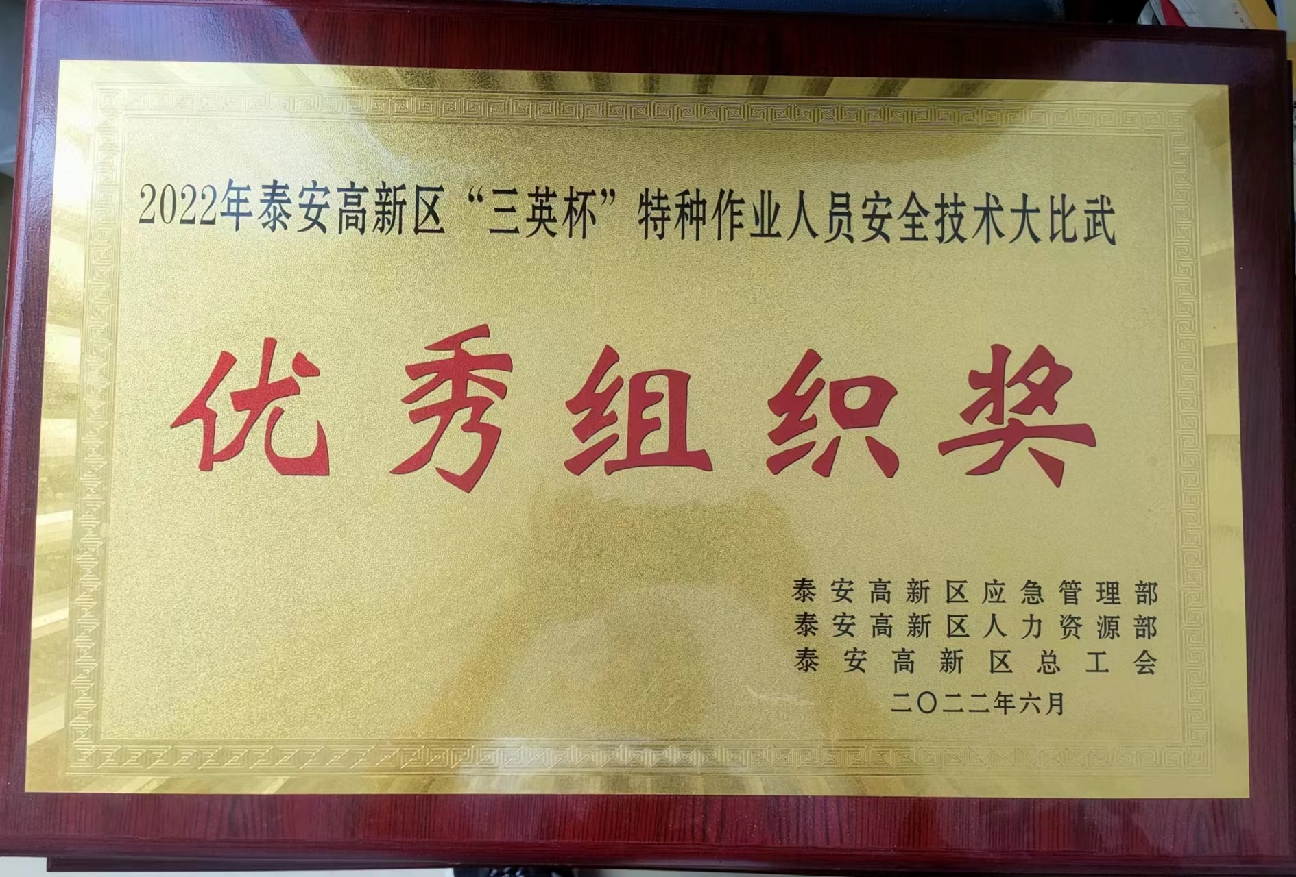 优秀组织奖 优秀组织奖