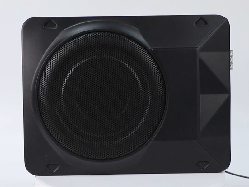 8" subwoofer