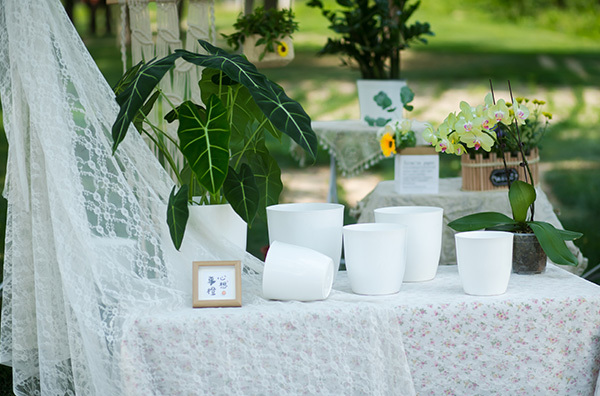 The practice of assembled potted plants