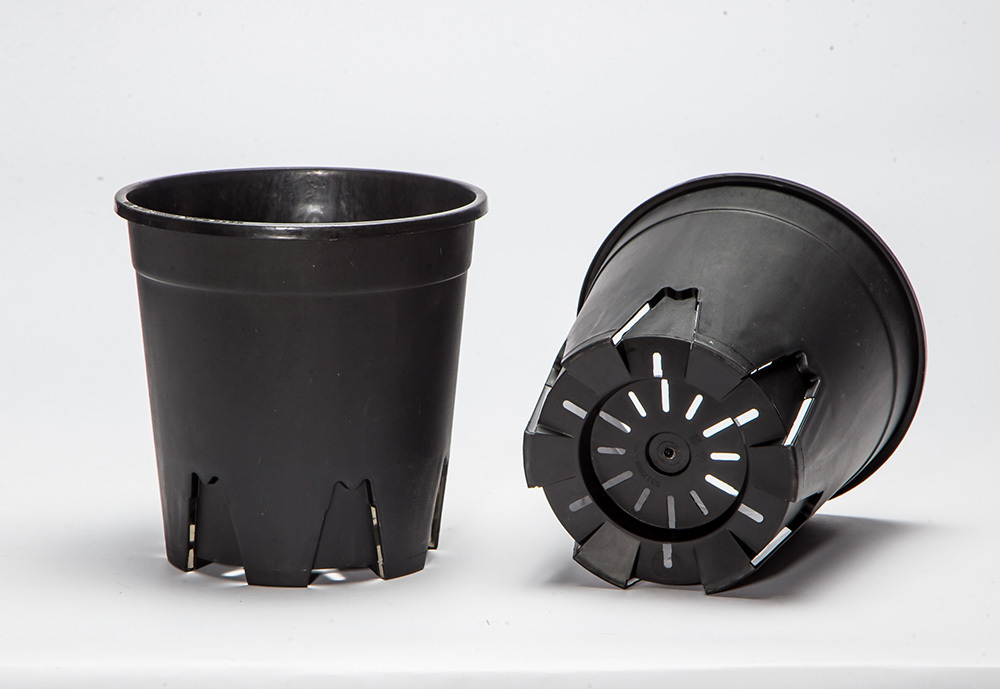 Discover the Incredible Benefits of Using Bamboo Pots for Your Plants