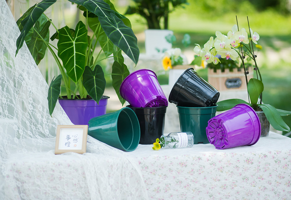 Enhance Your Garden: The Versatility of Hanging Pots