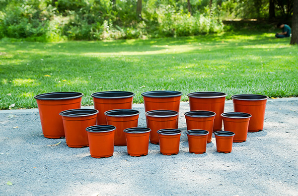 Precautions for choosing bonsai flowerpots