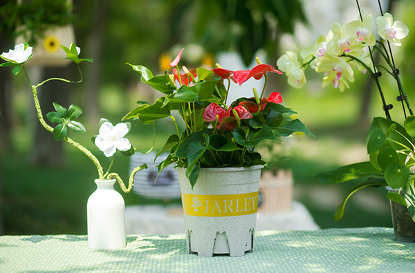 Matching skills of flower pots