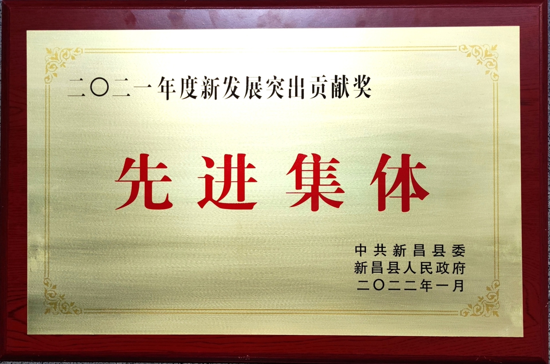 2021年度新发展突出贡献奖