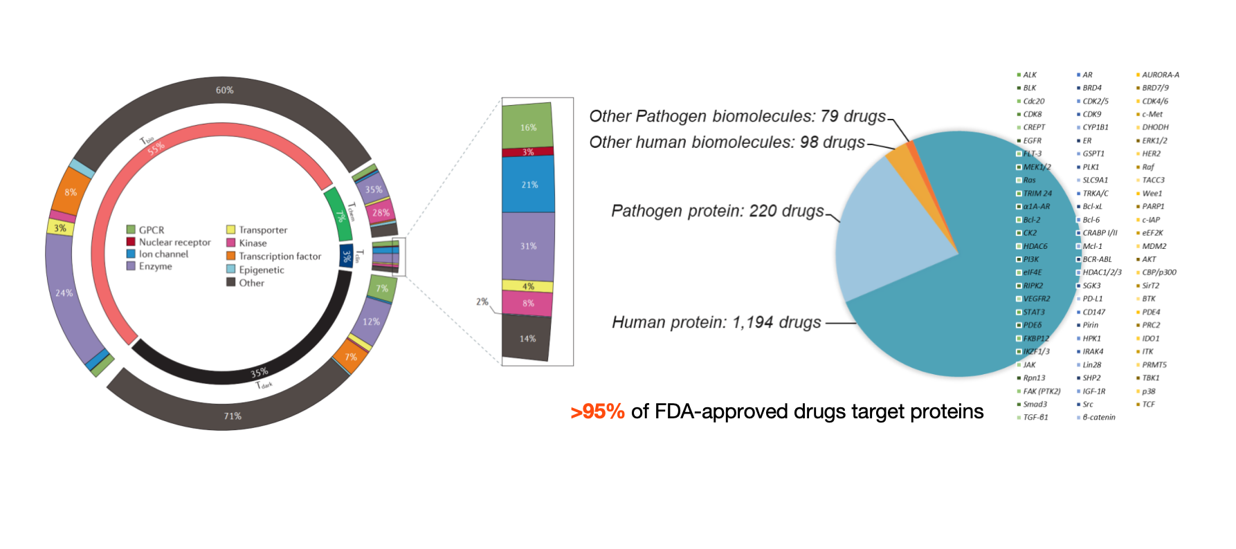 Macromolecular Drug Development