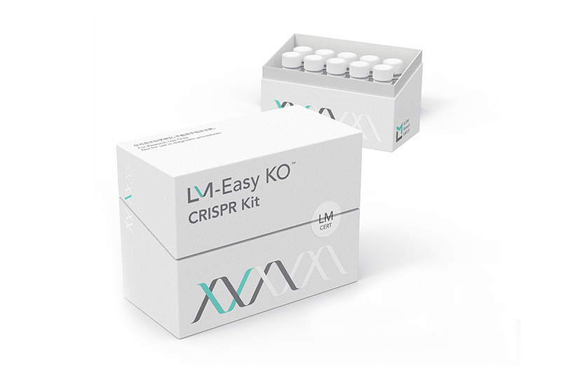 LM Easy KO敲除试剂盒(RNP法) LM Easy KO敲除试剂盒(RNP法)