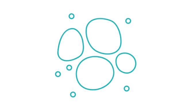 基因敲除细胞池（KO Pool）