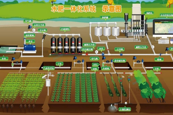 澳门正版资料大全免费公开