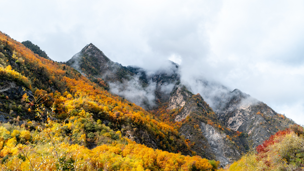 松坪沟