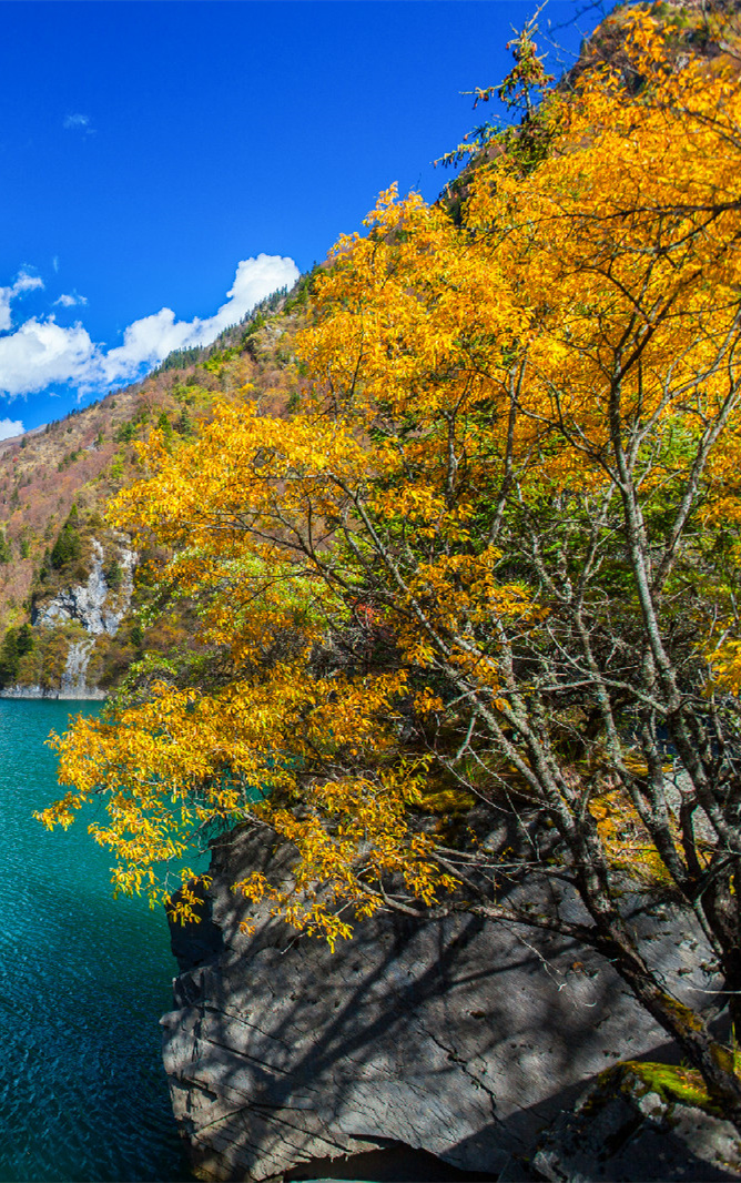 松坪沟