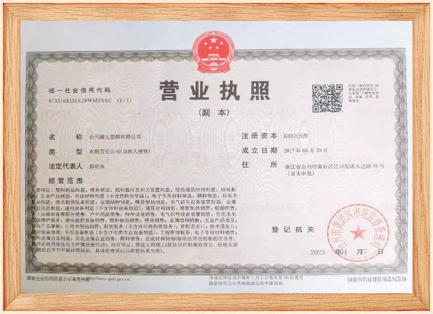 Business License