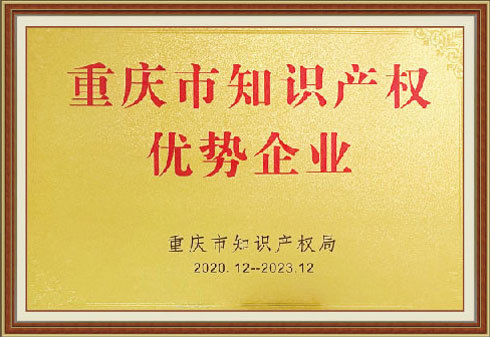 Municipal Intellectual Property Advantage Enterprises Municipal Intellectual Property Advantage Enterprises